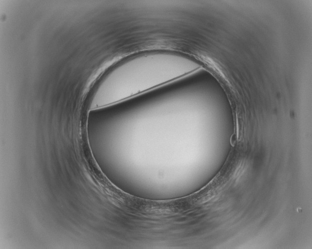 X0000066540531200603171243