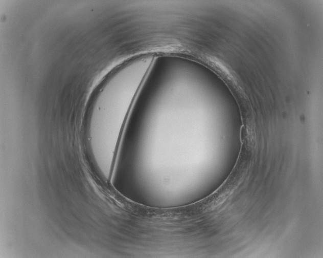 X0000066540532200603171243