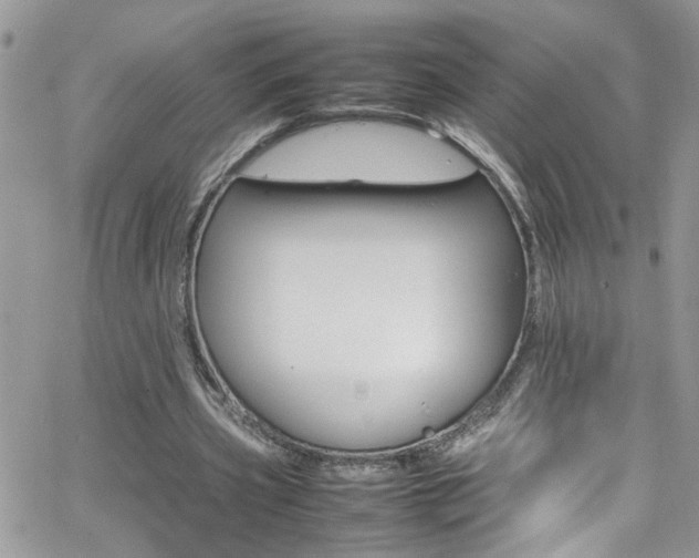 X0000066540533200603171243