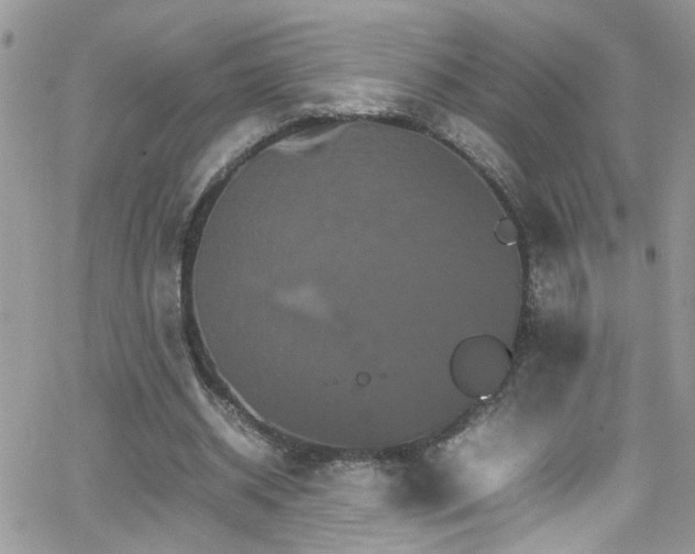 X0000066540534200603171243