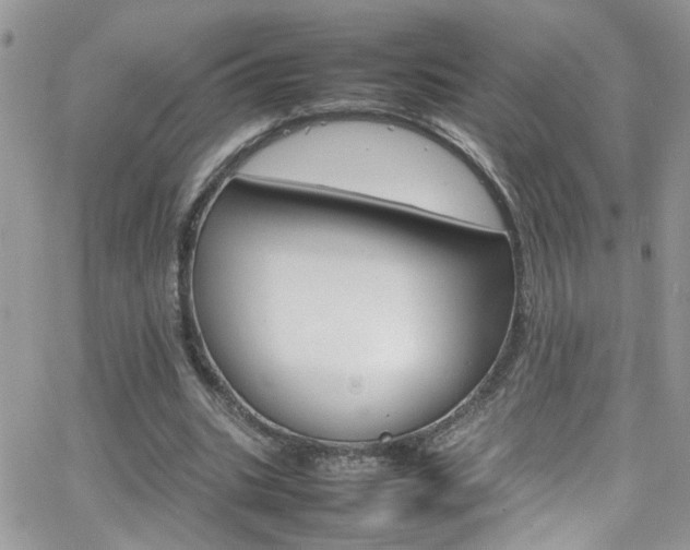 X0000066540535200603171243