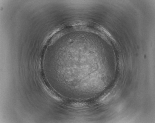 X0000066540537200603171243