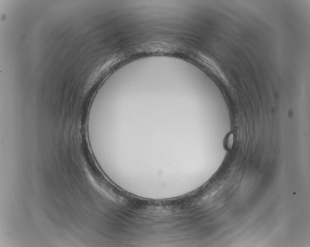 X0000066540538200603171243