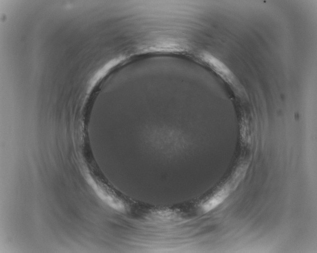 X0000066540540200603171243