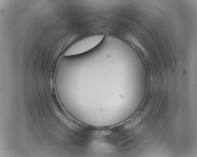 X0000066540541200603171243