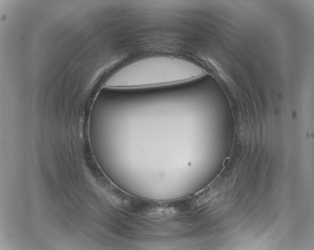 X0000066540543200603171243