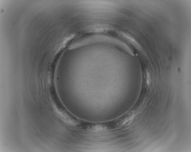 X0000066540546200603171243