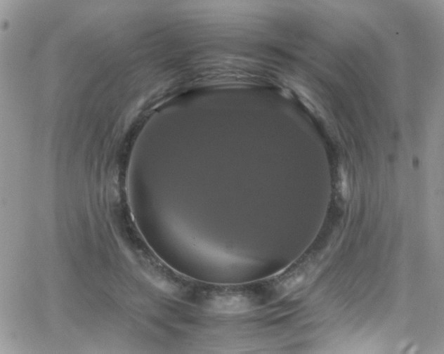 X0000066540547200603171243