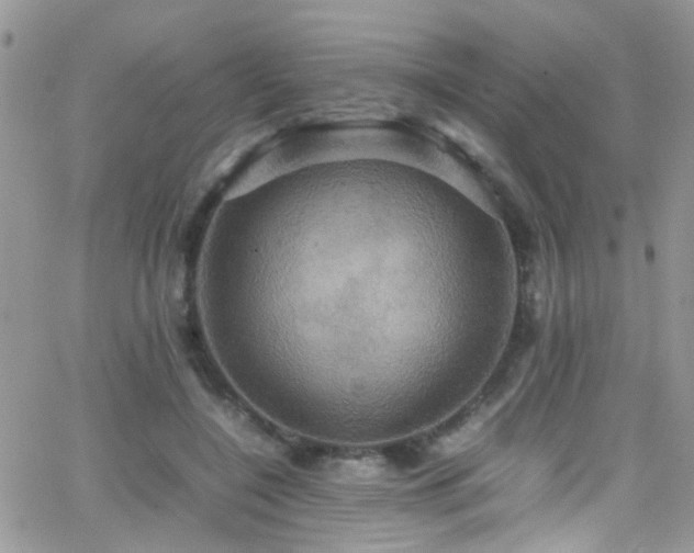 X0000066540548200603171243