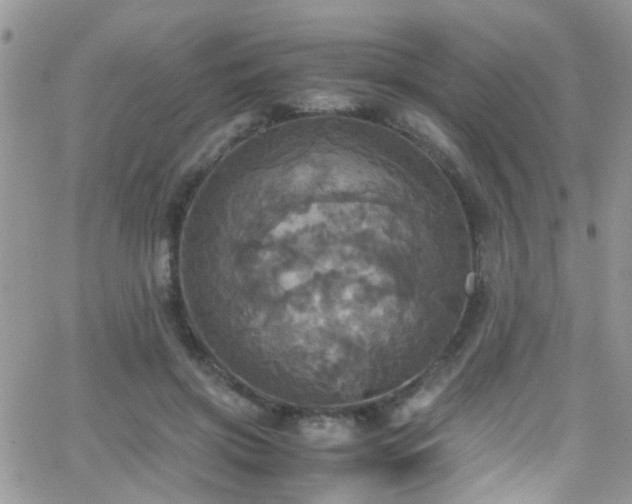 X0000066540549200603171243