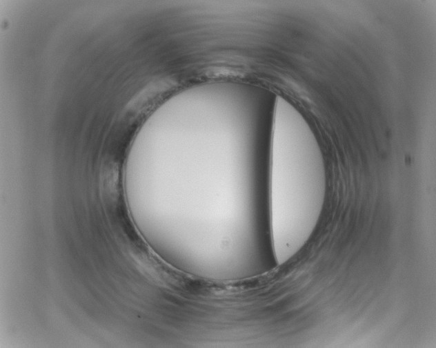 X0000066540550200603171243