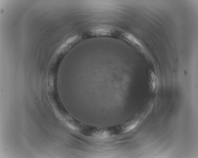 X0000066540551200603171243