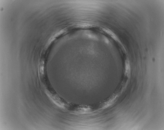 X0000066540552200603171243