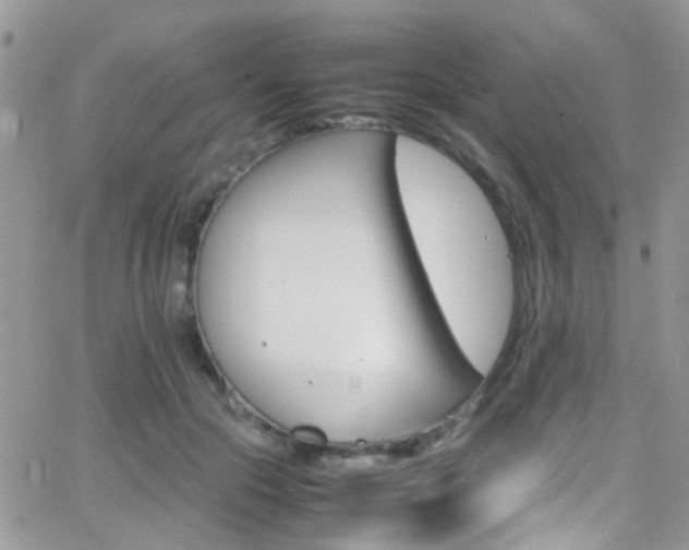 X0000066540553200603171243