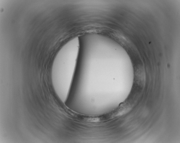 X0000066540554200603171243