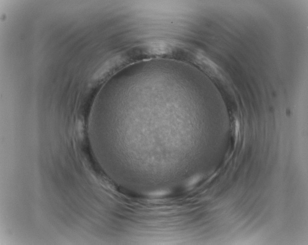 X0000066540556200603171243