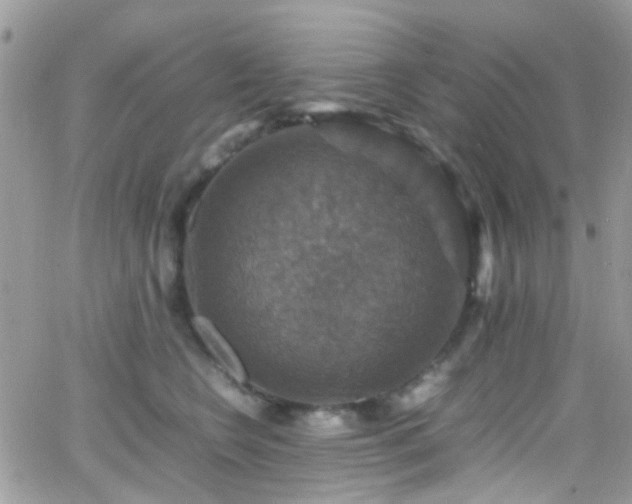 X0000066540566200603171243