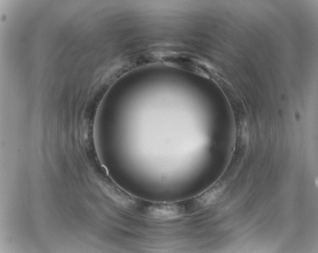 X0000066540567200603171243