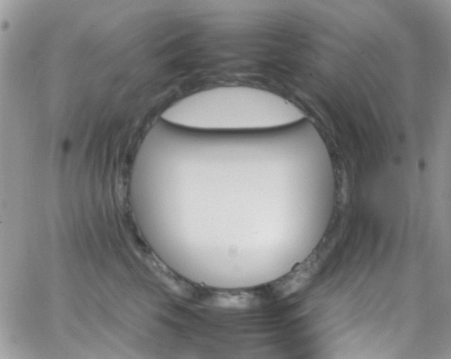 X0000066540569200603171243