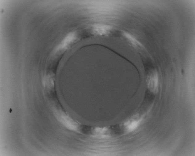 X0000066540570200603171243