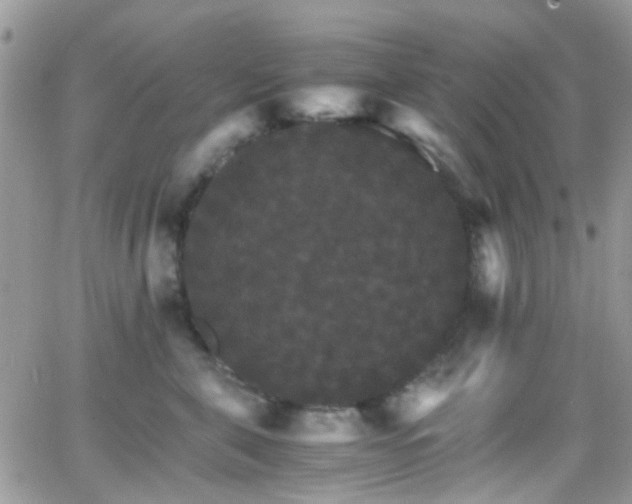 X0000066540571200603171243