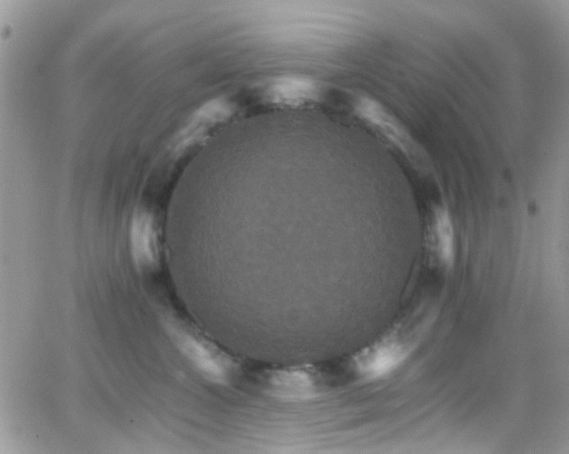 X0000066540572200603171243