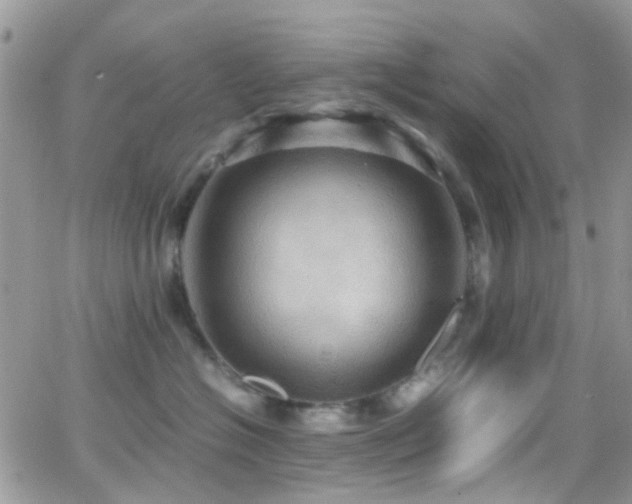 X0000066540574200603171244