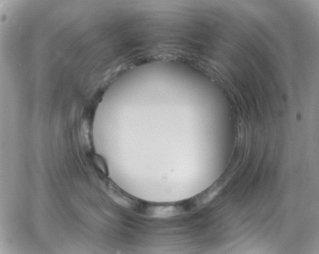 X0000066540575200603171244