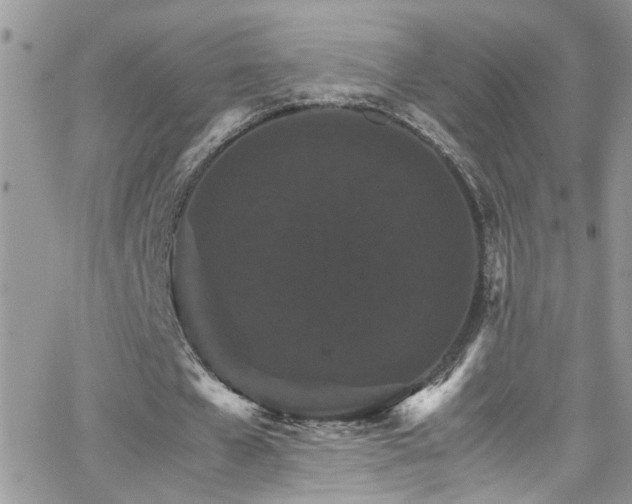 X0000066540577200603171243