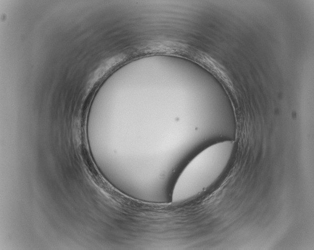 X0000066540578200603171243