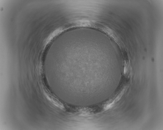 X0000066540579200603171243