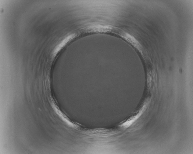 X0000066540581200603171243