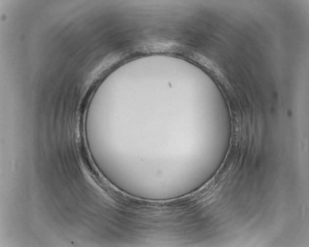 X0000066540582200603171243