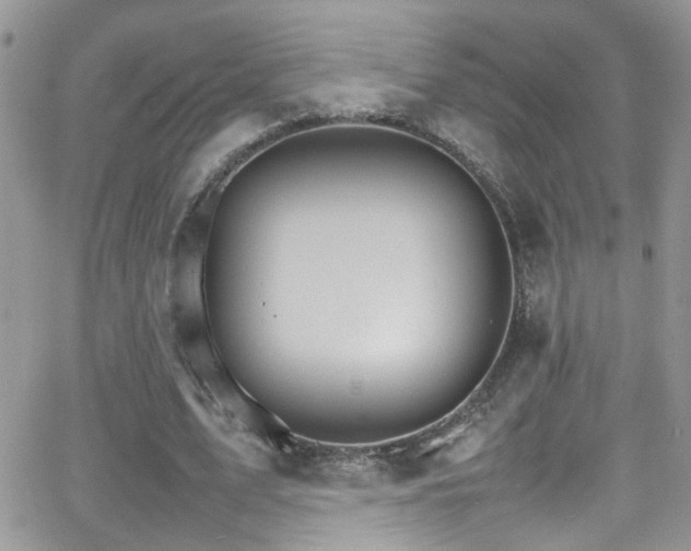 X0000066540583200603171243