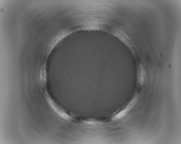 X0000066540584200603171243