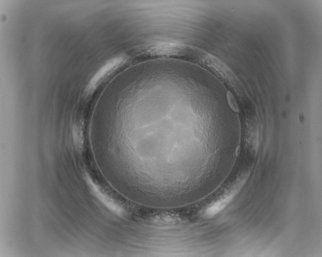 X0000066540586200603171243