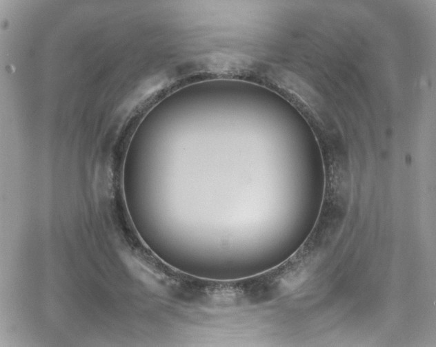 X0000066540587200603171243