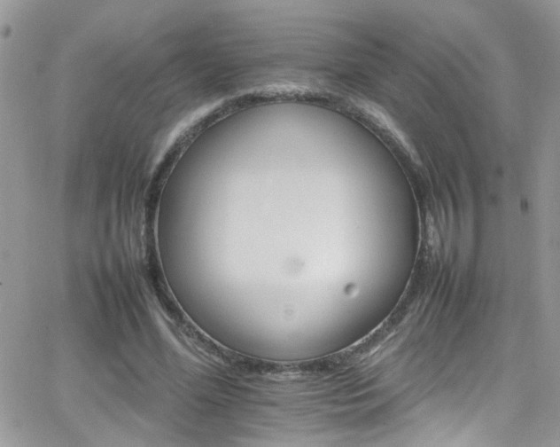 X0000066540588200603171243