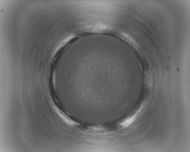 X0000066540589200603171243