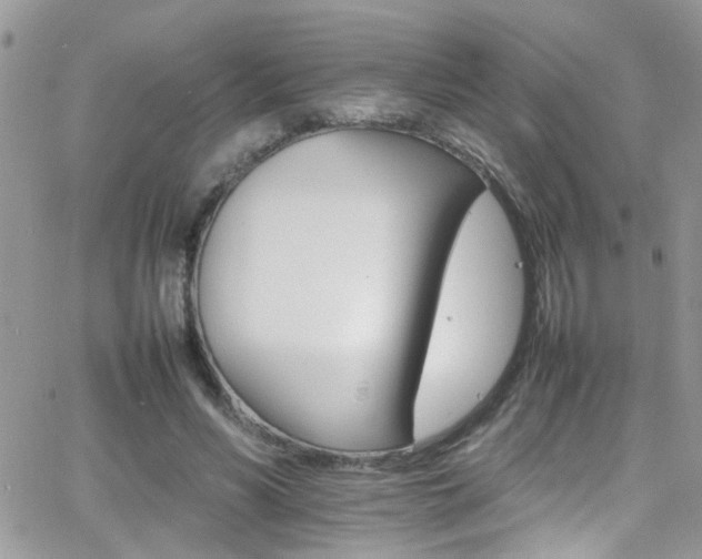 X0000066540590200603171243