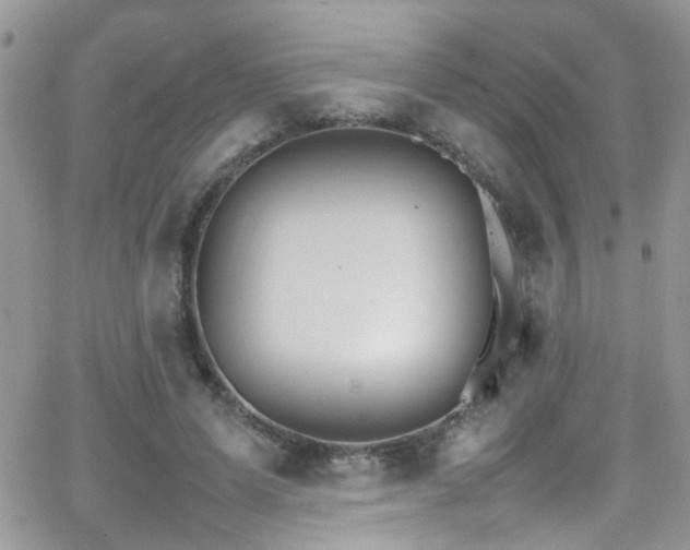 X0000066540591200603171243