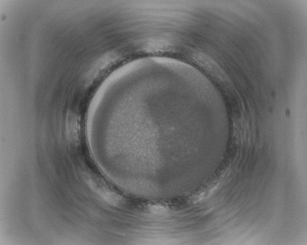 X0000066540592200603171243