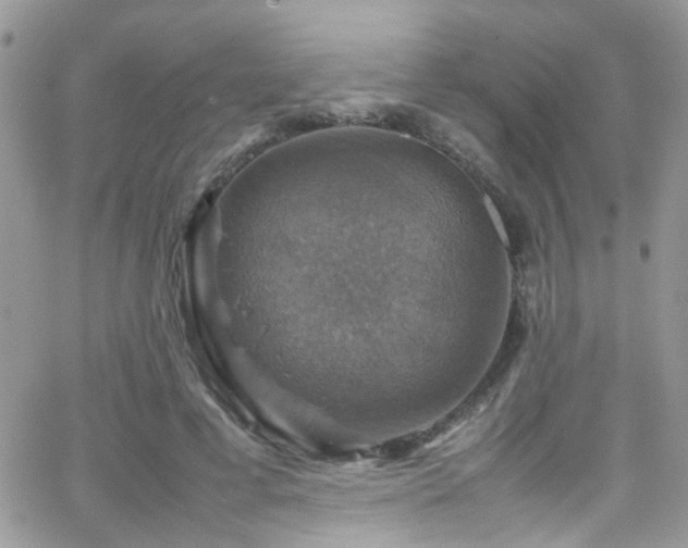 X0000066540593200603171243