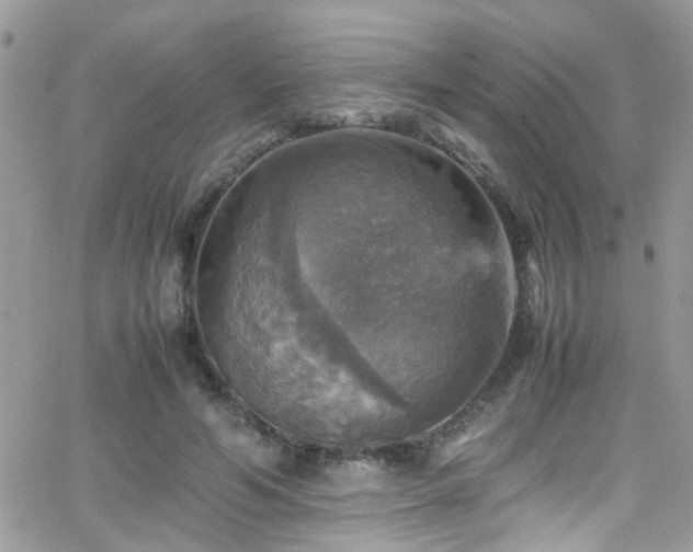 X0000066540594200603171242