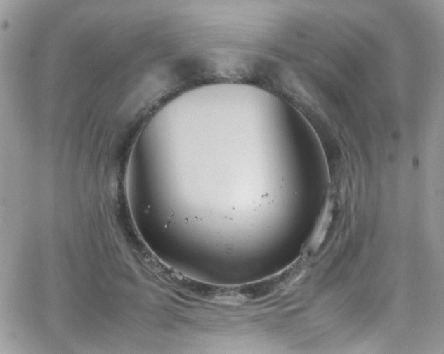 X0000066540595200603171242