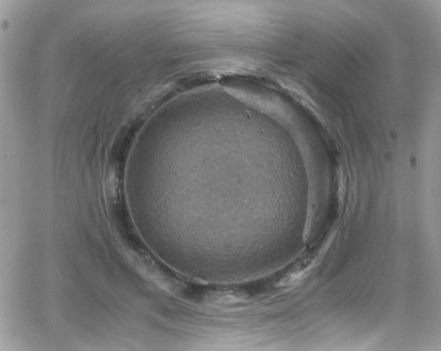 X0000066540597200603171242