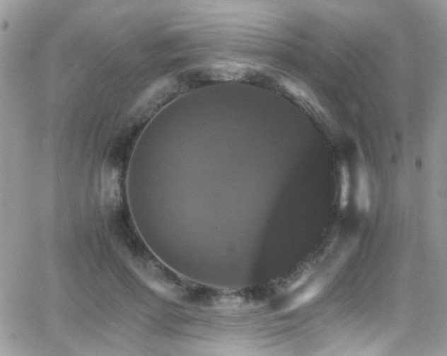 X0000066540598200603171242