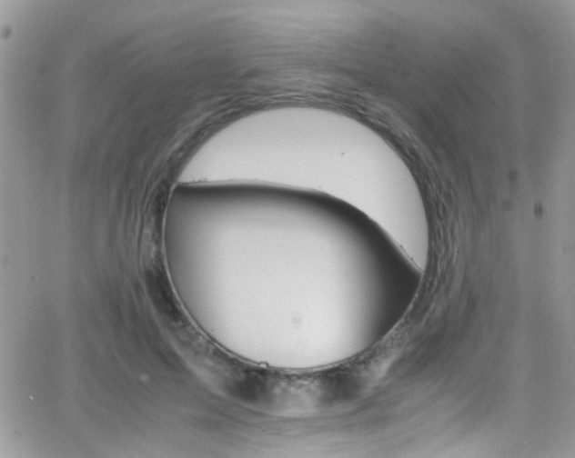 X0000066540599200603171242