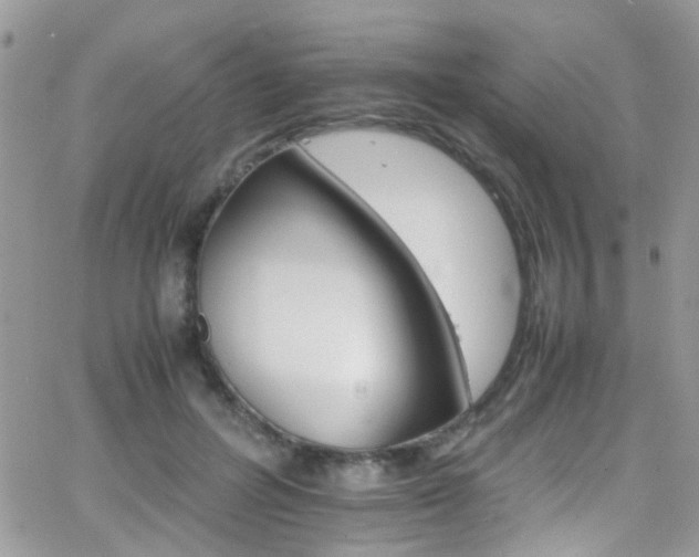 X0000066540600200603171242