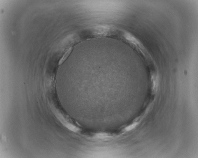 X0000066540601200603171242